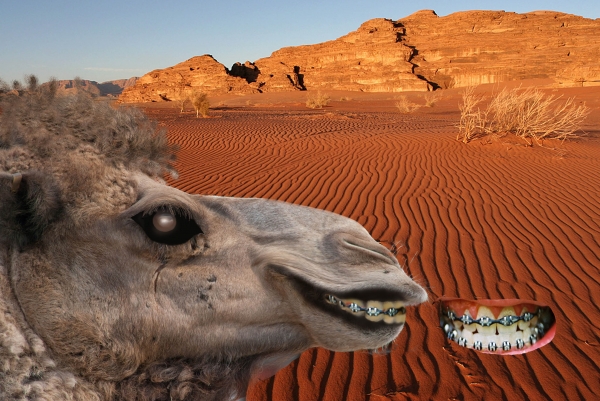 Creation of Ugly Betty of the Desert: Step 5